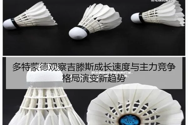 多特蒙德观察吉滕斯成长速度与主力竞争格局演变新趋势